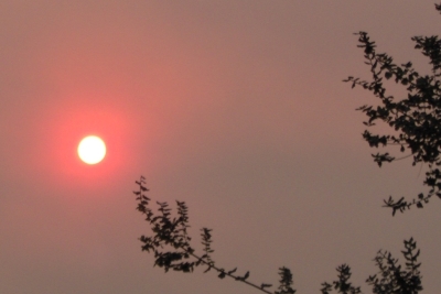 soleil tout rouge